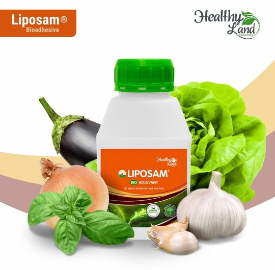 To buy LIPOSAM® from Healthy Land